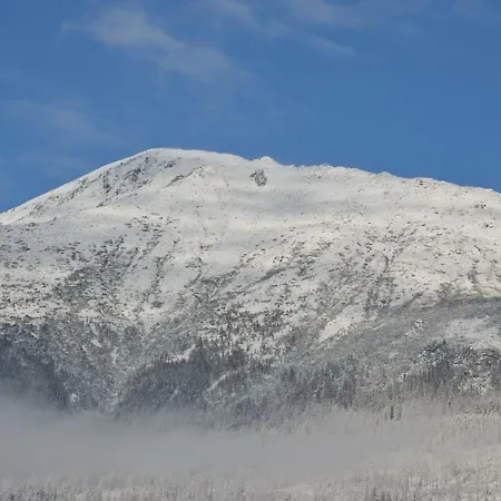 아파트 Primo Maxi